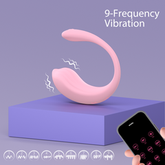 SHD-X00 'Whale' mini app comtrol vibrator