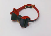 Cute Leather collar&leash