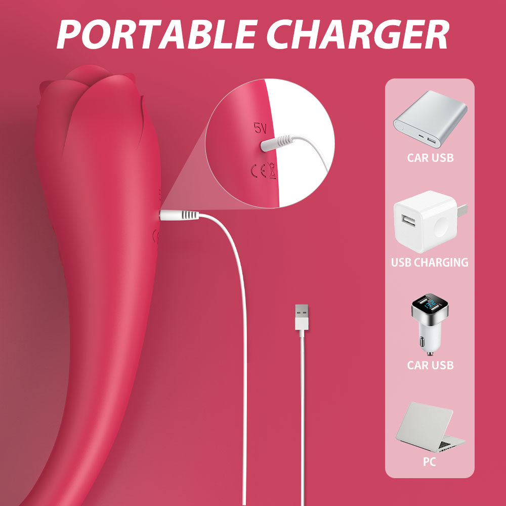 DOUBLE ENDED TEASER+VIBRATOR “ASAP” SHD-S374