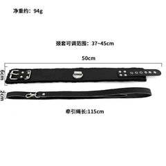 Fur-Lined Collar&leash