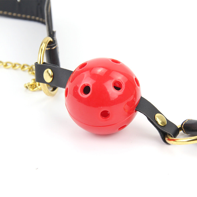 Gag+nipple clamps